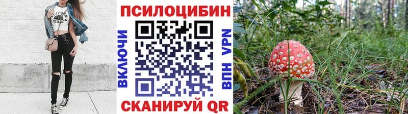 где купить наркоту Таганрог Псилоцибиновые грибы Psilocybine cubensis